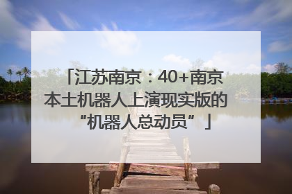 江苏南京：40+南京本土机器人上演现实版的“机器人总动员”